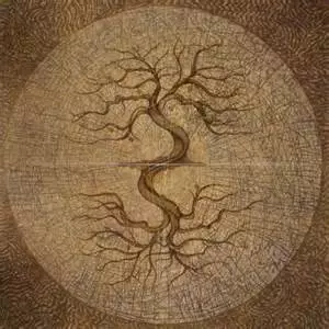 arbre_et_racines